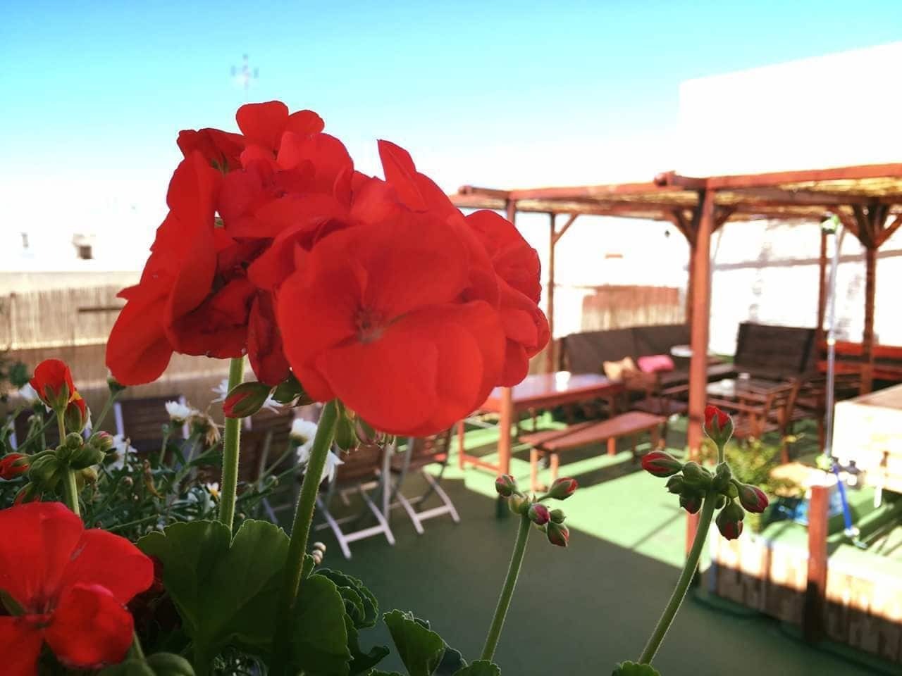 Hostel Summer Cadiz